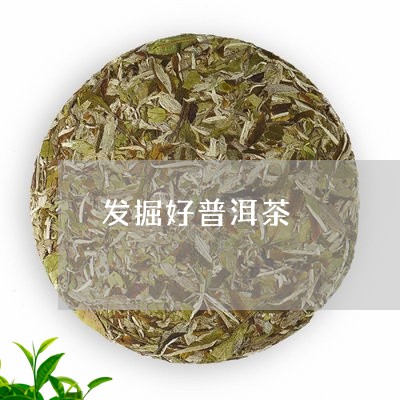 发掘好普洱茶/2023042876509