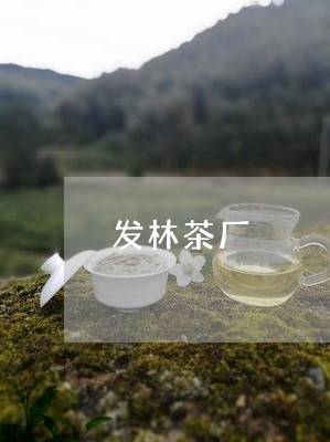 发林茶厂/2023090146058