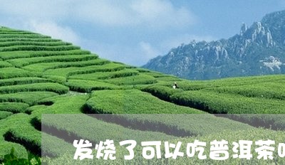 发烧了可以吃普洱茶吗/2023120625148