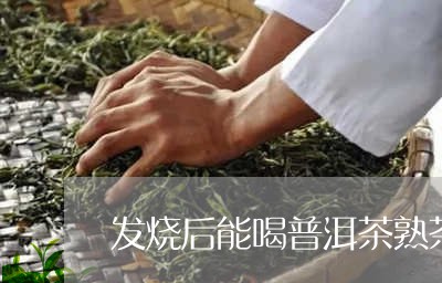 发烧后能喝普洱茶熟茶吗/2023103118271