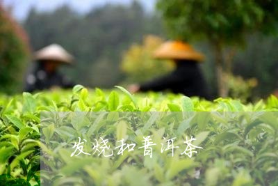 发烧和普洱茶/2023042770784