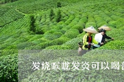 发烧喉咙发炎可以喝普洱茶吗/2023110227351