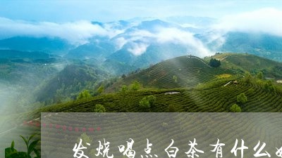 发烧喝点白茶有什么好处/2023063006168