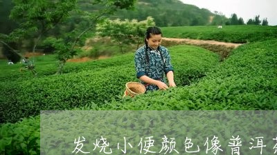 发烧小便颜色像普洱茶一样/2023121545271