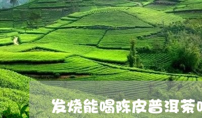 发烧能喝陈皮普洱茶吗/2023062281793