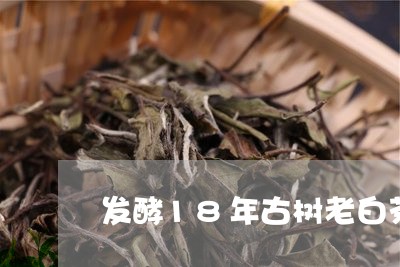 发酵18年古树老白茶/2023092747581