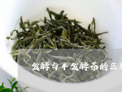 发酵与半发酵茶的区别/2023071596158