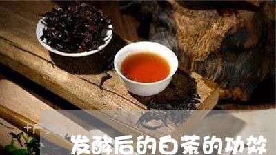 发酵后的白茶的功效/2023081304050