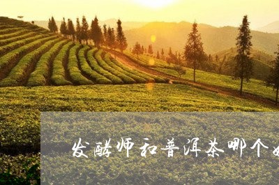 发酵师和普洱茶哪个好/2023092928482