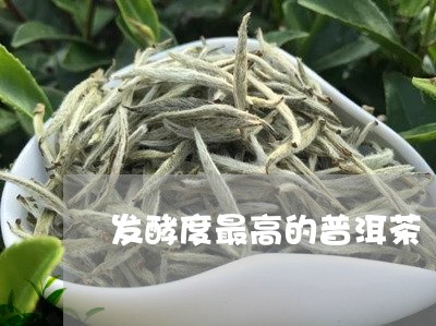 发酵度最高的普洱茶/2023071141927