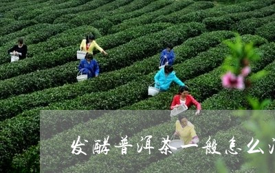 发酵普洱茶一般怎么泡/2023092652814