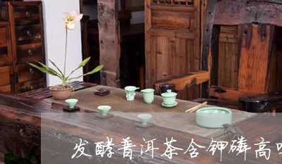 发酵普洱茶含钾磷高吗/2023072302584