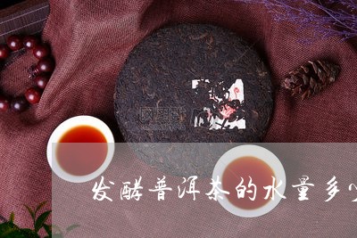 发酵普洱茶的水量多少/2023080101683