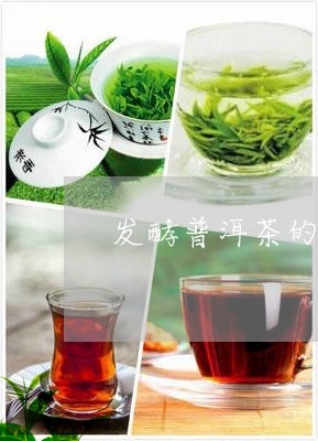 发酵普洱茶的流程教学/2023080237258