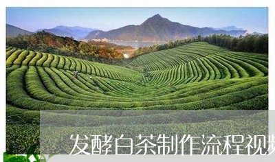 发酵白茶制作流程视频/2023073050282