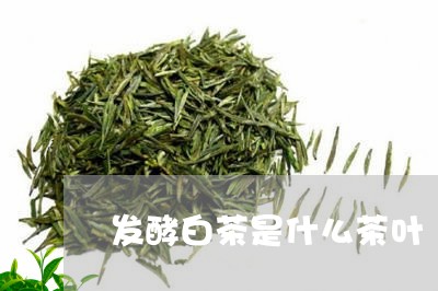 发酵白茶是什么茶叶/2023121763625
