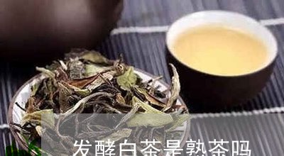 发酵白茶是熟茶吗/2023061556371