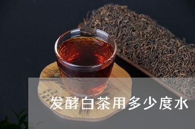 发酵白茶用多少度水/2023121755048