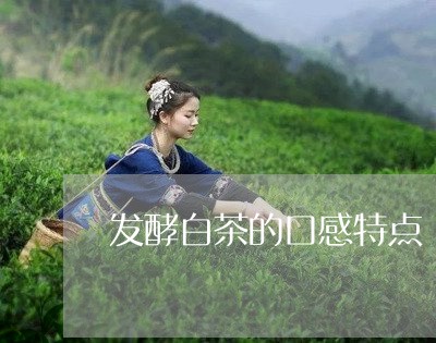 发酵白茶的口感特点/2023071654138