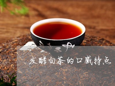 发酵白茶的口感特点/2023121703049