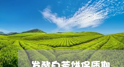 发酵白茶饼保质期/2023061583048