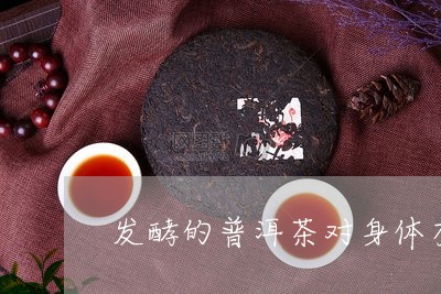 发酵的普洱茶对身体有什么好处/2023053039263