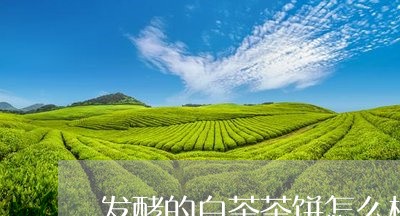 发酵的白茶茶饼怎么样存放最好/2023111443736