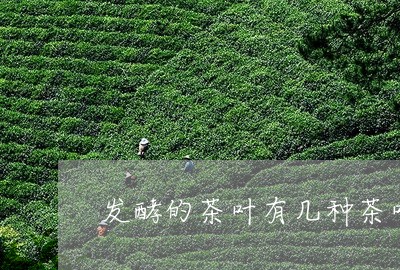 发酵的茶叶有几种茶叶/2023071682938