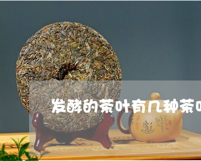 发酵的茶叶有几种茶叶/2023092149481