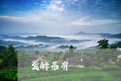 发酵茶有/2023121982693