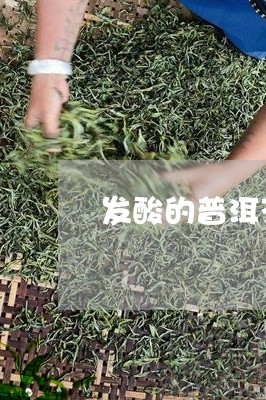 发酸的普洱茶能不能喝/2023092776925