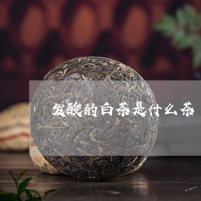 发酸的白茶是什么茶/2023071683959