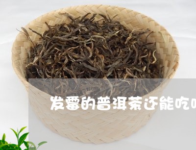 发霉的普洱茶还能吃吗/2023072442826