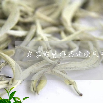 发霉的普洱茶饼吹风机/2023093095040