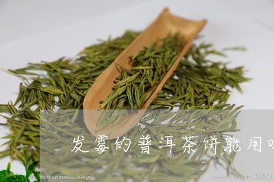 发霉的普洱茶饼能用吗/2023061838572