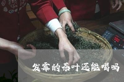 发霉的茶叶还能喝吗/2023042546058