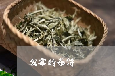 发霉的茶饼/2023090242481