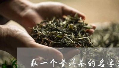 取一个普洱茶的名字男/2023082960571