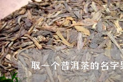 取一个普洱茶的名字男/2023121520572