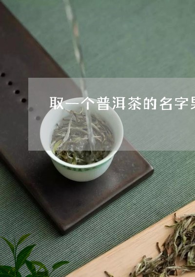 取一个普洱茶的名字男孩/2023102504048