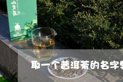 取一个普洱茶的名字男性/2023102587169