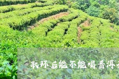 取环后能不能喝普洱茶/2023072213794