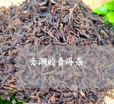 受潮的普洱茶/2023042715947