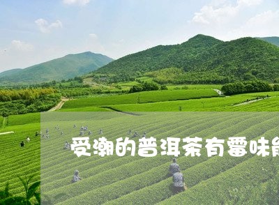 受潮的普洱茶有霉味能喝吗/2023110417280