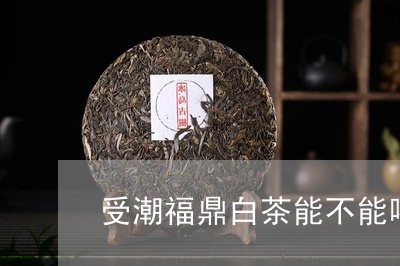 受潮福鼎白茶能不能喝/2023120787169