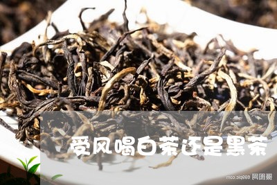 受风喝白茶还是黑茶/2023081316278