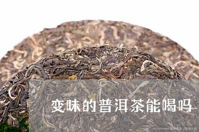 变味的普洱茶能喝吗/2023112704160