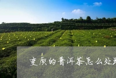 变质的普洱茶怎么处理干净/2023112596370