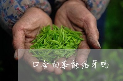 口含白茶能洁牙吗/2023061584046