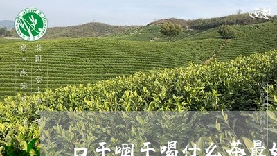 口干咽干喝什么茶最好/2023071369424